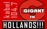 Gigant FM - Nederlandstalig,Goud van Oud,Piratenklassiekers - Oldies/Classics